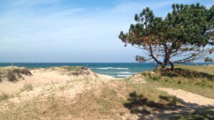 Der Badestrand bei Asserbo