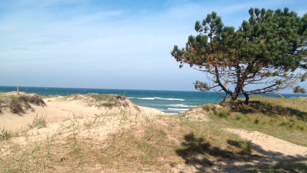 Der Strand von Asserbo in Nordseeland
