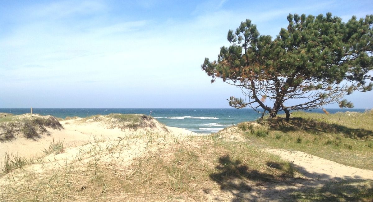 Der Badestrand bei Asserbo