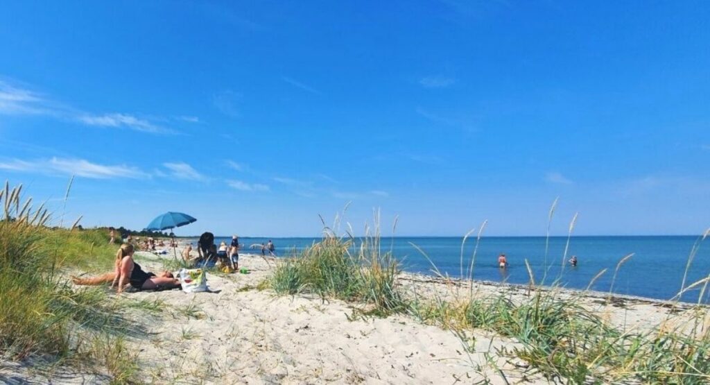 Die Aussicht vom Strand in Fjellerup