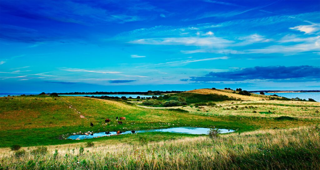 Insel Fünen mit Ferienhaus erleben