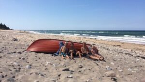 Schöne Natur in Nordseeland bei Gilleleje Nordsjælland