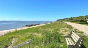 Sommerhuse ved Limfjorden
