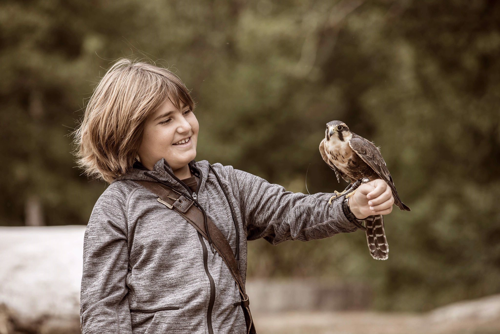 Bornholms Rovfugleshow