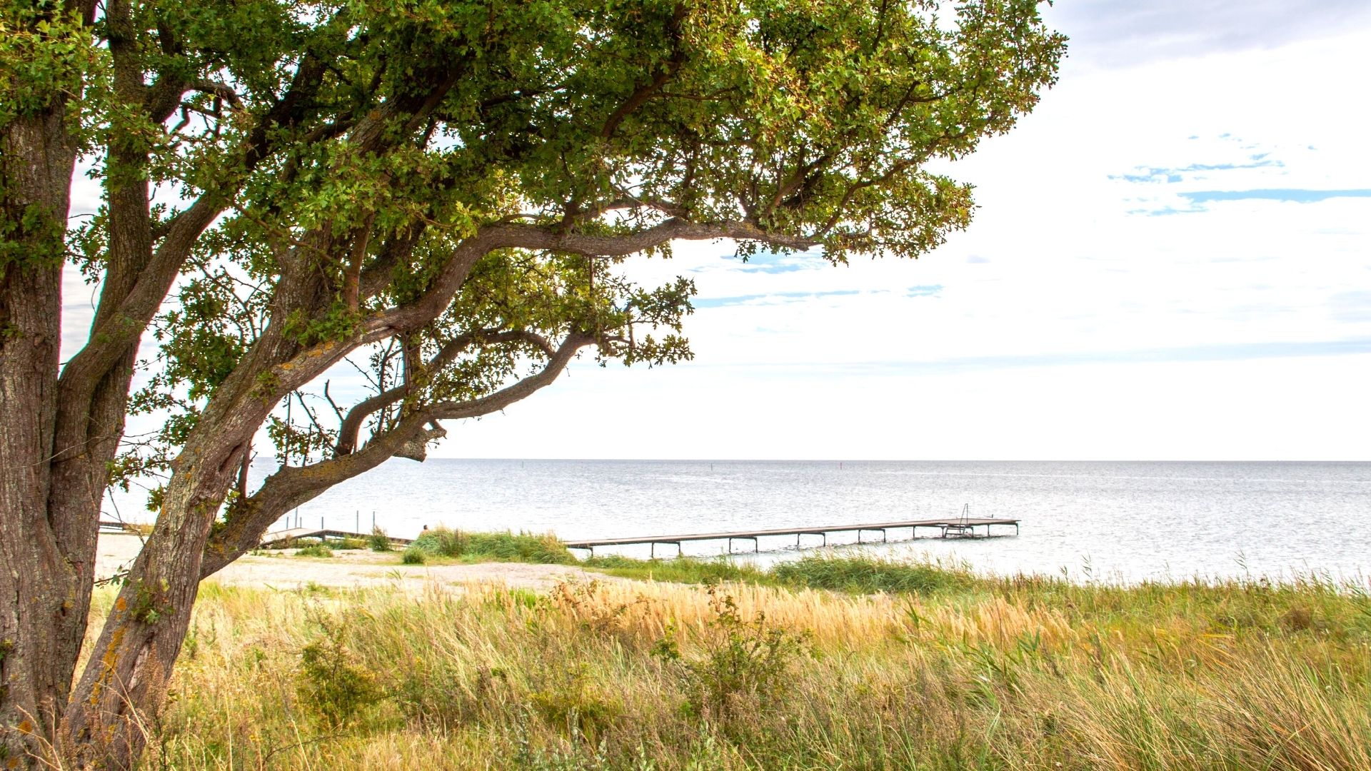 Sommerhusudlejning ved Østersøbadet på Lolland