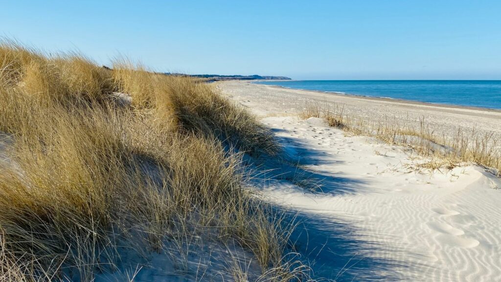 Thorup Strand