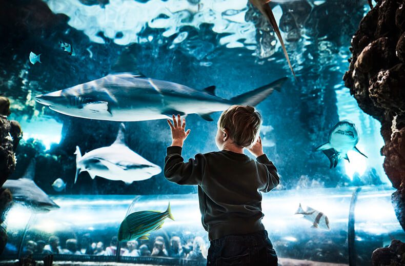 Junge im Kattegatcentret