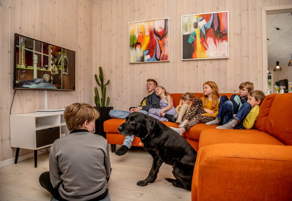 Ferienhaus besonders geeignet für Hunde und andere Haustiere