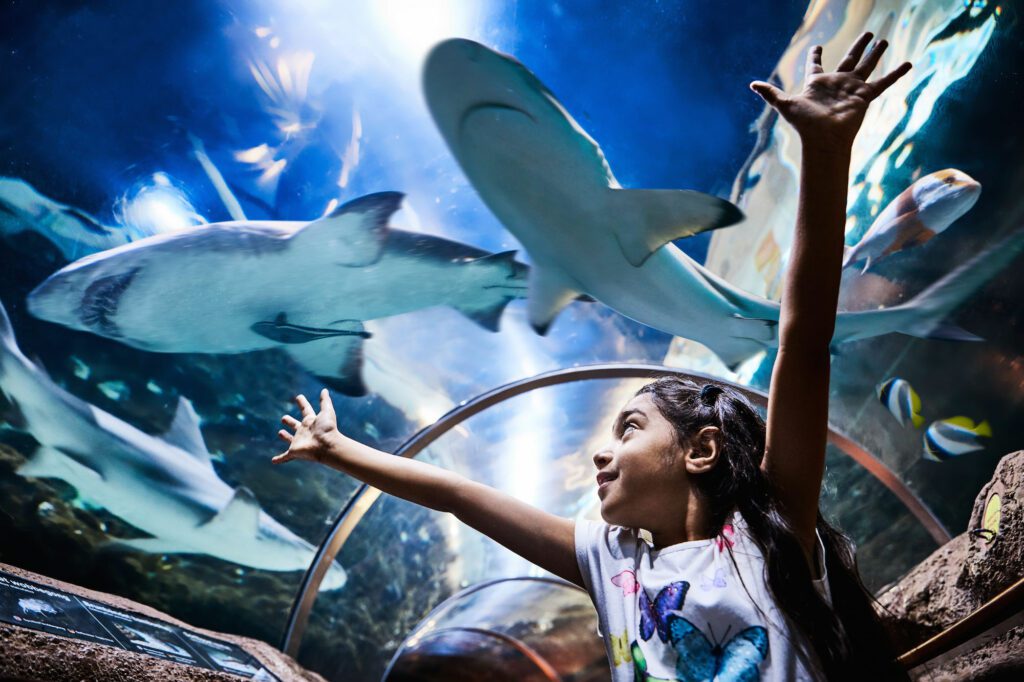 Mädchen im Aquarium Kattegatcentret