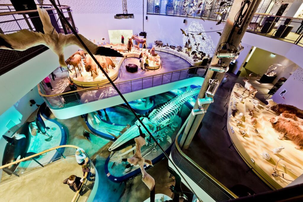 Naturama Ausstellungen