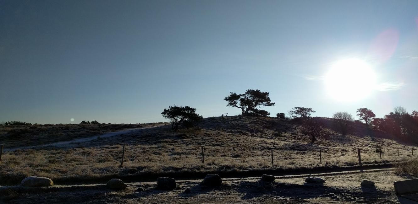 Sonnen auf Heatherhill