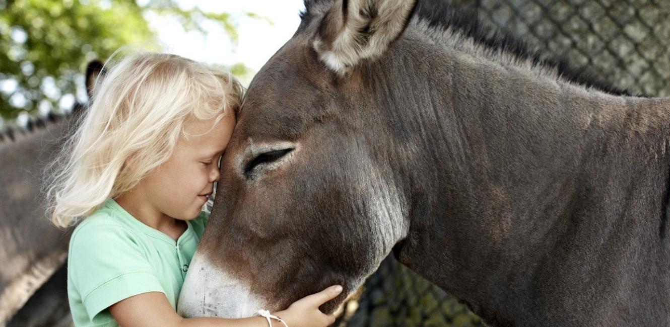 Mädchen und Esel
