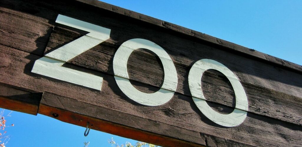 zoo