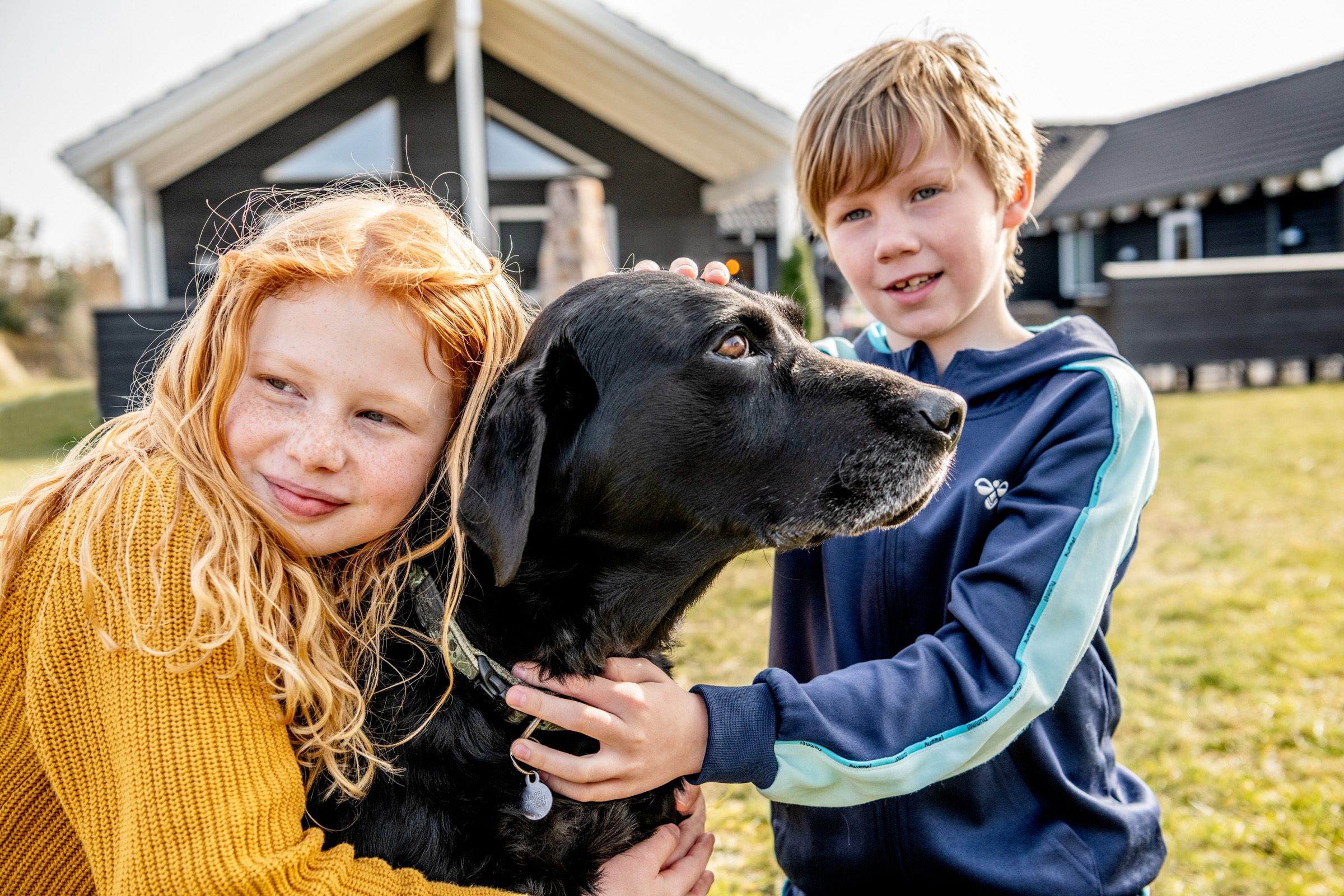 Einige Ferienhäuser von VillaVilla sind besonders für Haustiere geeignet