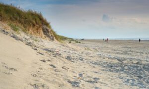 Der Strand von Blavand