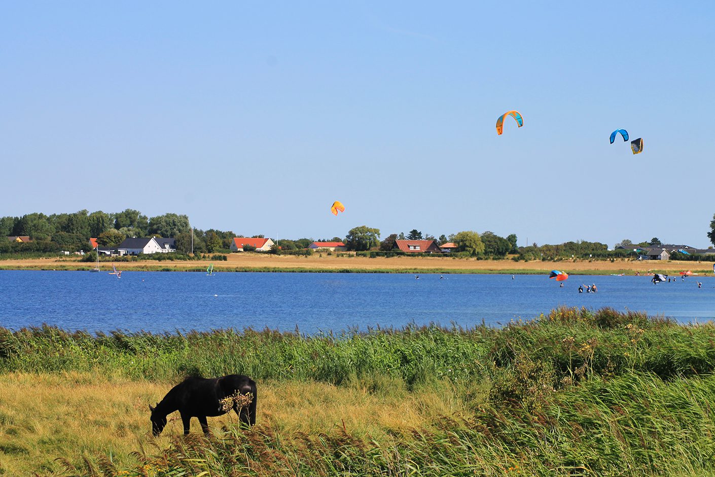 Halbinsel Kegnaes