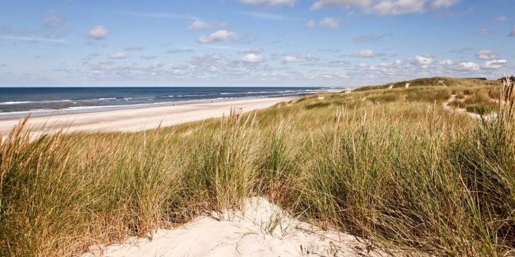 die Gewässer des westlichen Meeres