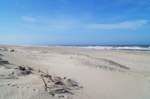Dünen-Landschaft bei Vester Husby an der Nordsee, Dänemark