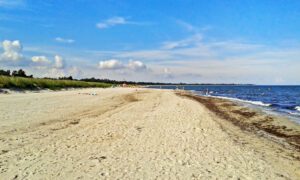 Strand an der Ostseeküste auf der Insel Falster in Dänemark