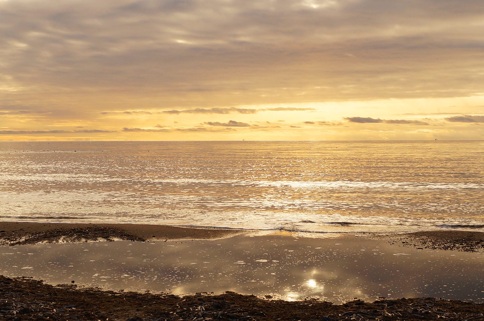 Große Luxushäuser mit Pool beim Houstrup Strand