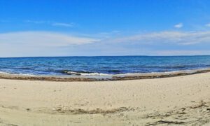 Spass am Marielyst Strand nicht weit vom Luxusferienhaus entfernt