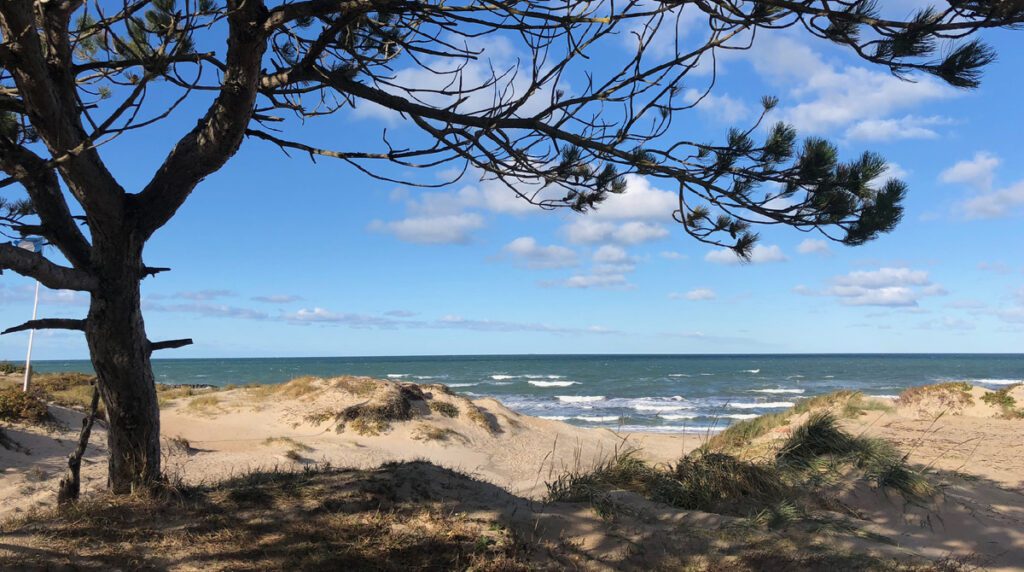 Die Küste bei Nordseeland