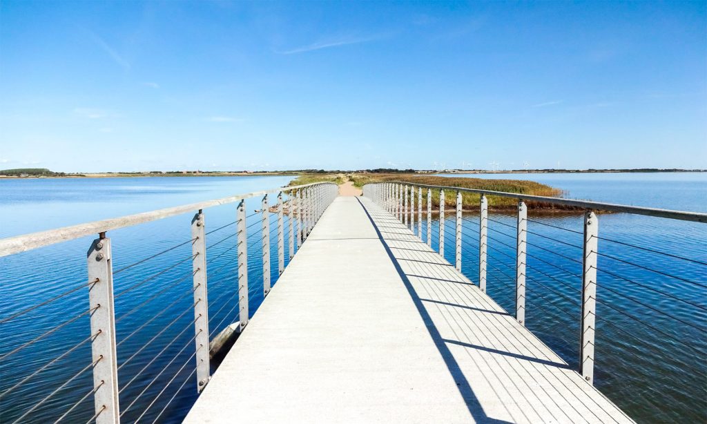 Urlaub am Ringkøbing Fjord im Ferienhaus