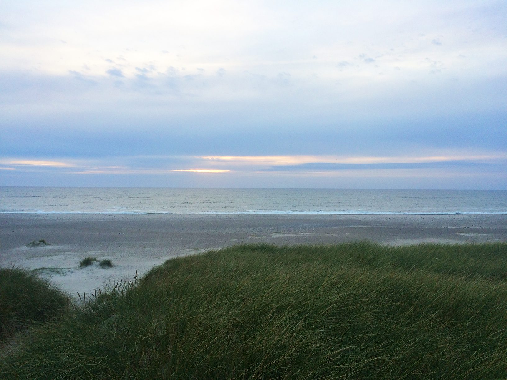 Blick auf das Meer von den Dünen bei Vrist an der Nordeeküste Dänemarks
