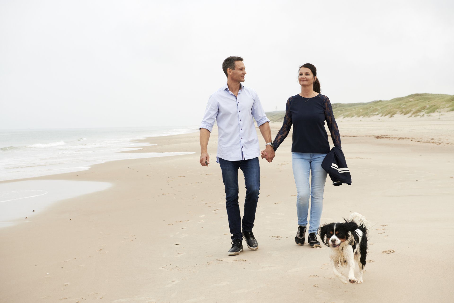 Ein glücklicher Hund genießt den Strandurlaub in Dänemark.
