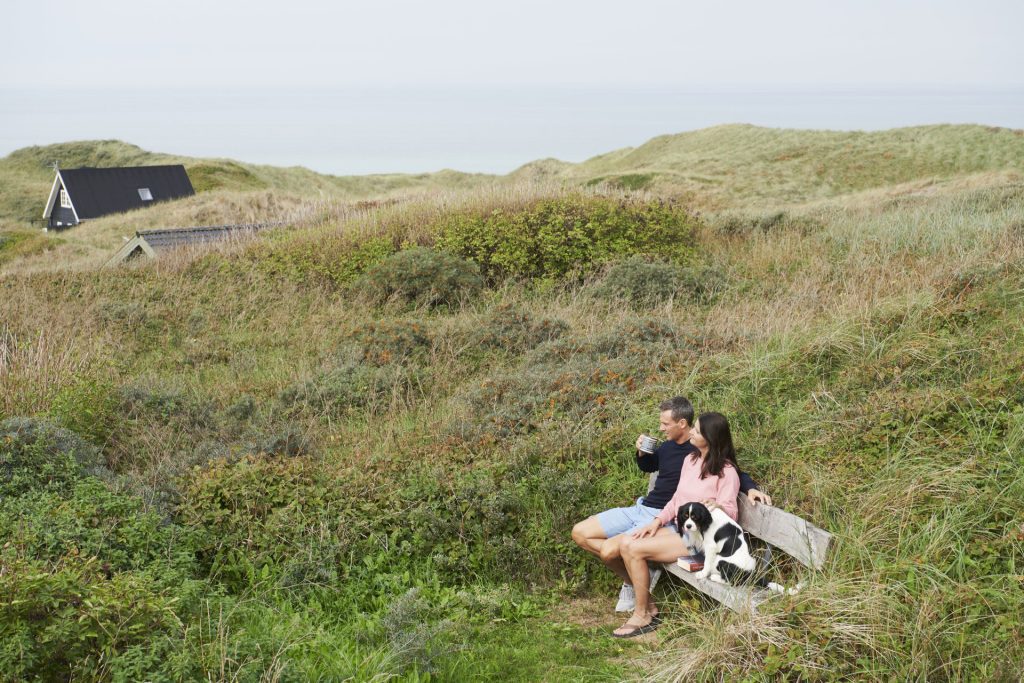 Dänemark mit Hund beim Ferienhaus an der Nordsee