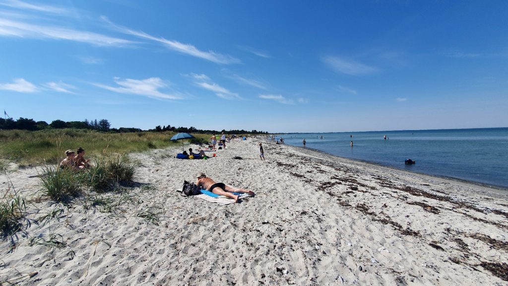 Ostseeurlaub mit Hund in Dänemark