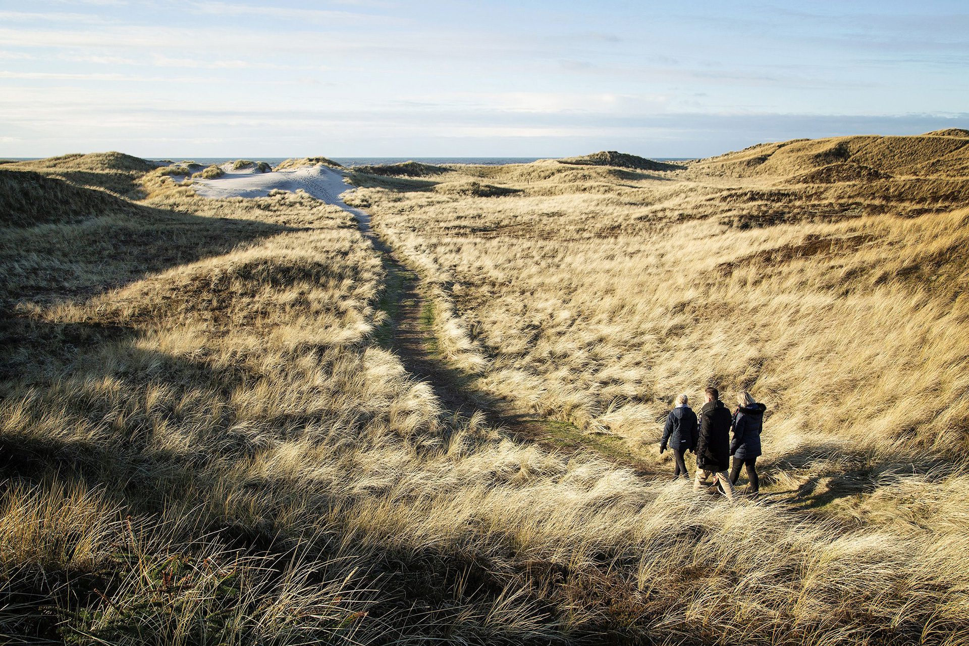 Wandern in den Dünen an der Nordseeküste von Hvide Sande