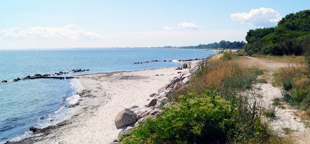 Strand auf Mön