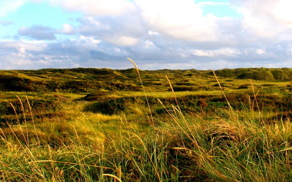Thy, Nordseeküste Dänemarks