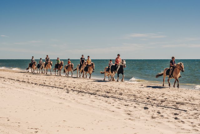 Reiten am Strand bei Vedersø Klit
