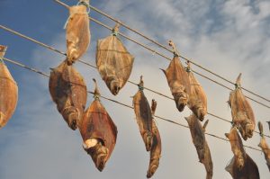 Getrockneter Fisch auf der Trocknungslinie