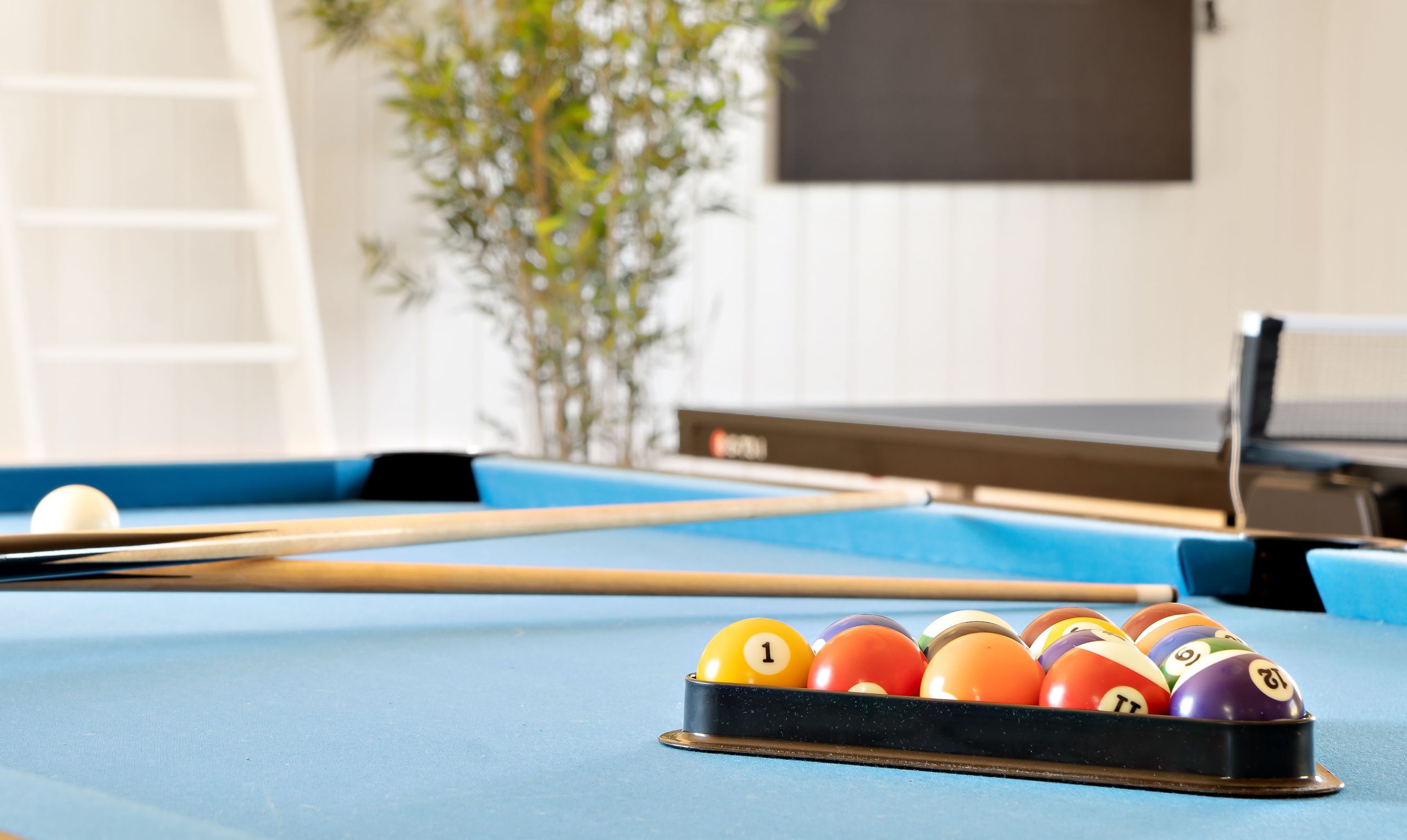 Billard i sommerhuset