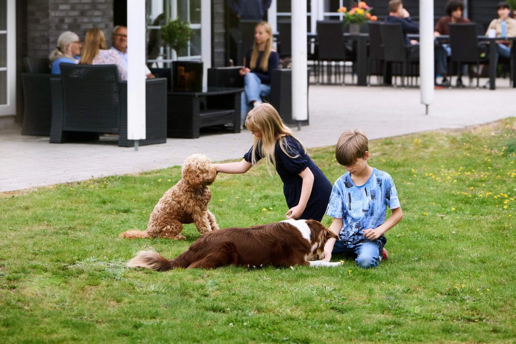 Der Hund ist im Ferienhaus willkommen