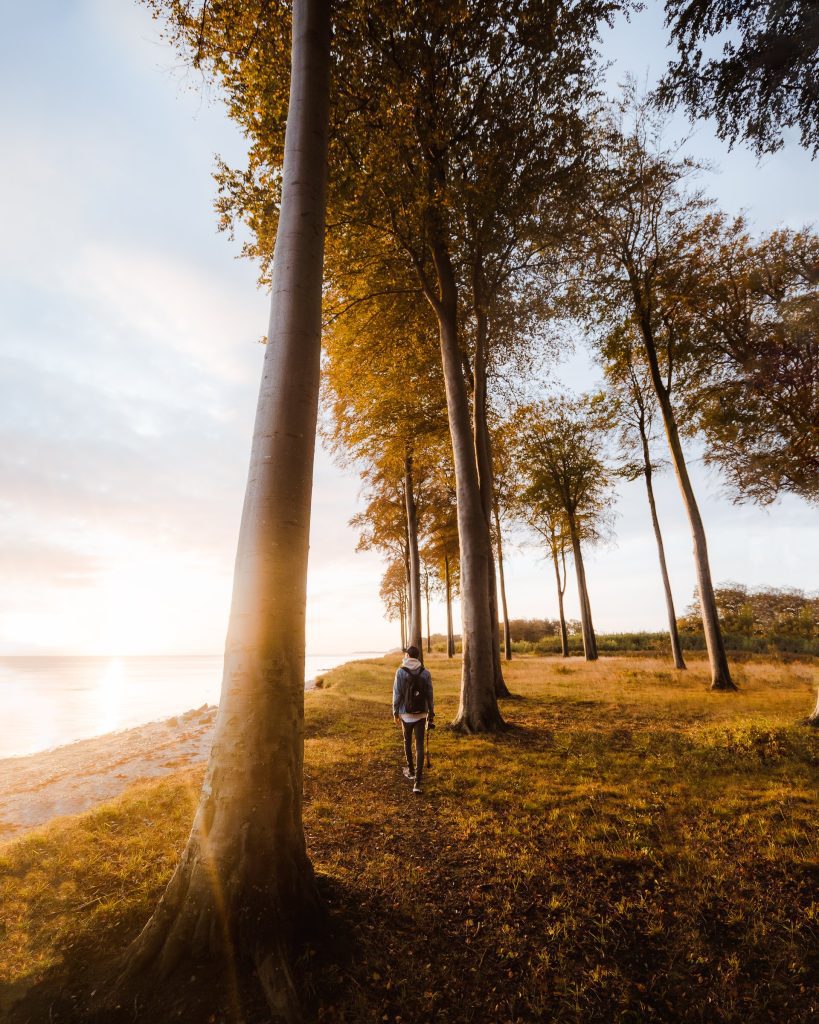 Flyvesandet, Nordfünen