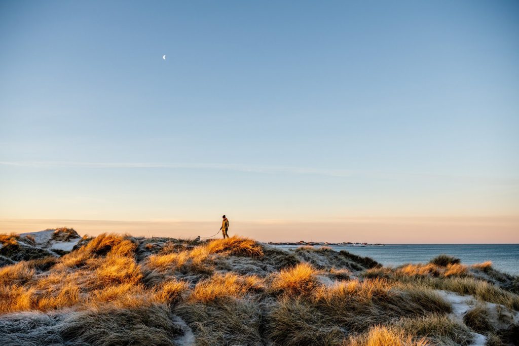 Auf den Dünen in Klitmöller im Herbst