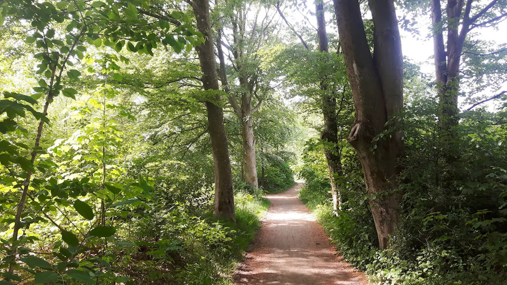 Ulfborg Hjertestien