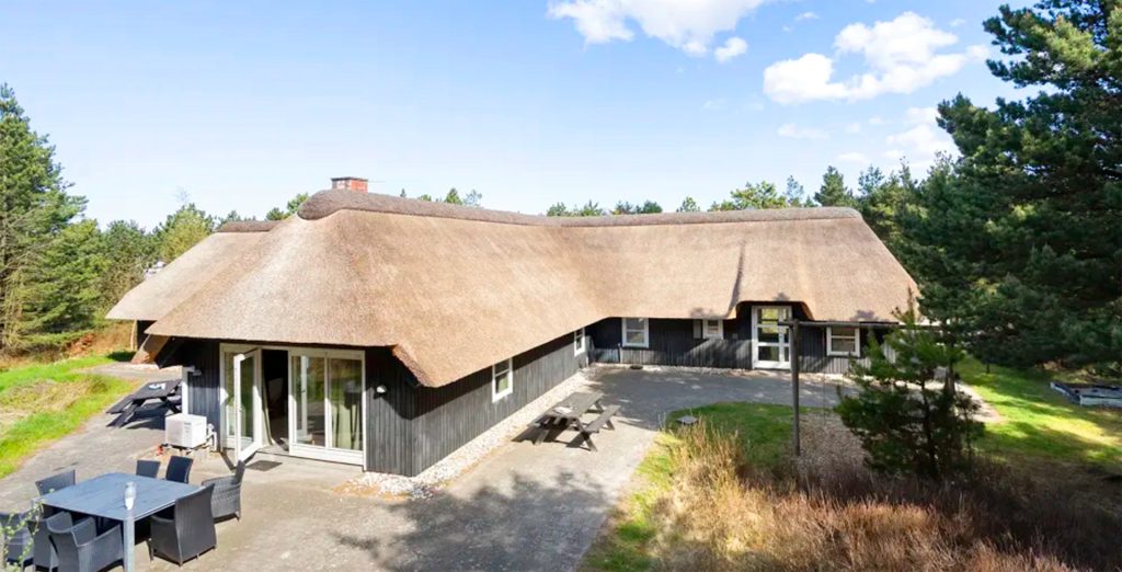 12 Personen Ferienhaus Dänemark in Blavand mit Reetdach